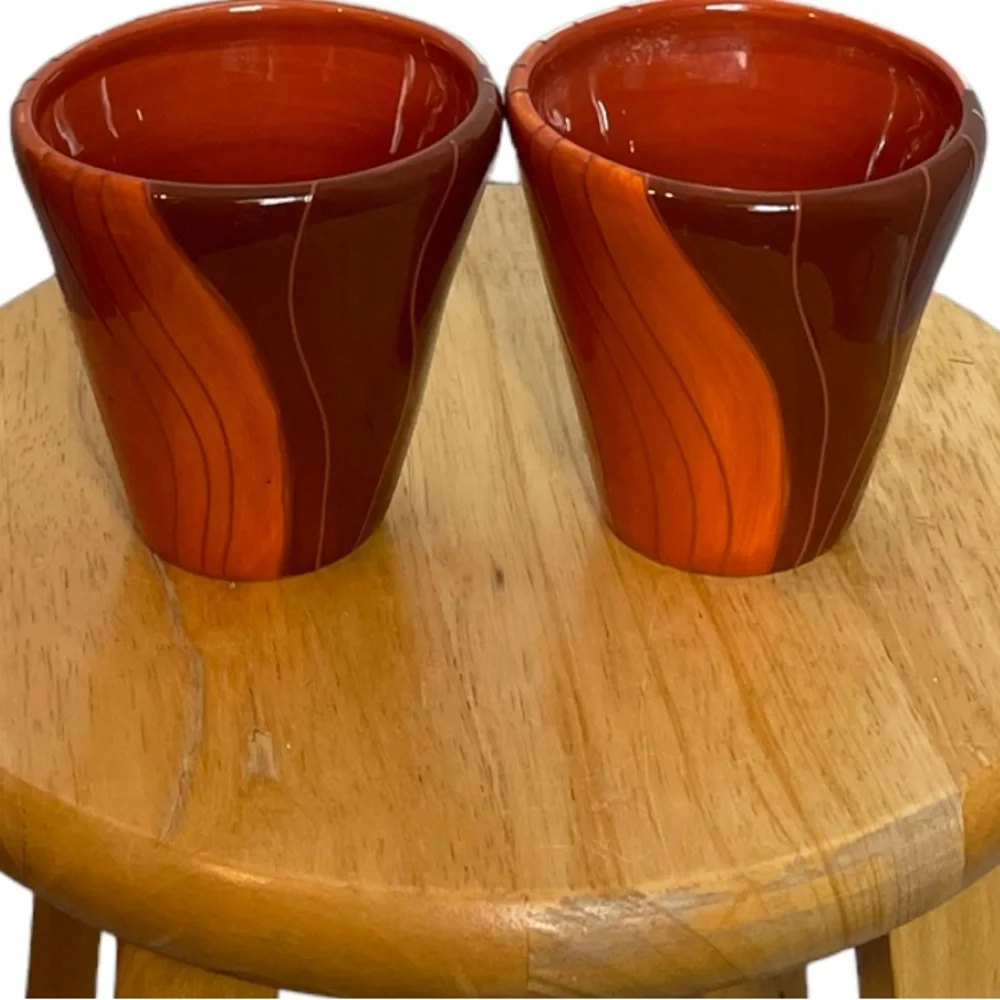 2 Pier 1 Canyon Strip Hand Painted Coffee Mug 16oz